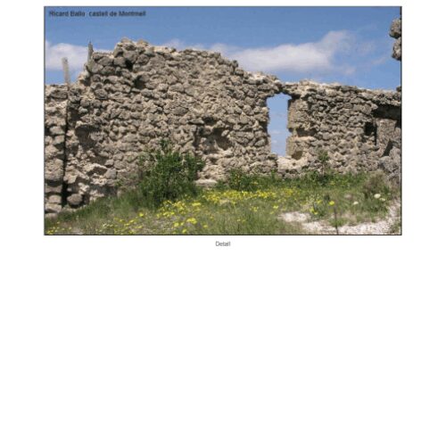 Montmell,Castillo - Imagen 1