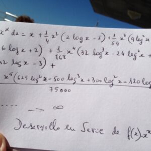 Integral de X elevado a X