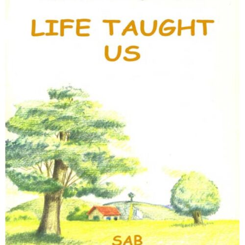 Bolcone,Life Taught Us - Imagen 1