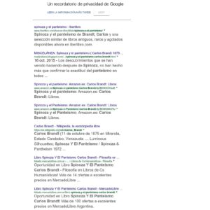 Brandt,Carlos,Spinoza y el panteismo