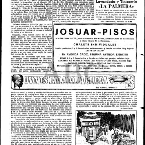 Casos OVNI 1968,Sevilla - Imagen 1