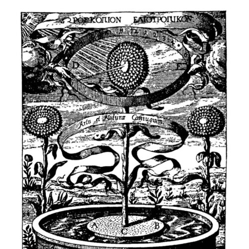 Collin,Mysteries of the Seed - Imagen 1