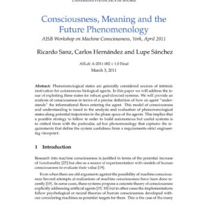 Consciousness,meaning and the future of phenomenology,Sanz-Hernandez-Sanchez