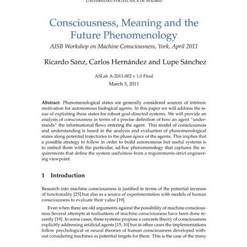 Consciousness,meaning and the future of phenomenology,Sanz-Hernandez-Sanchez - Imagen 1