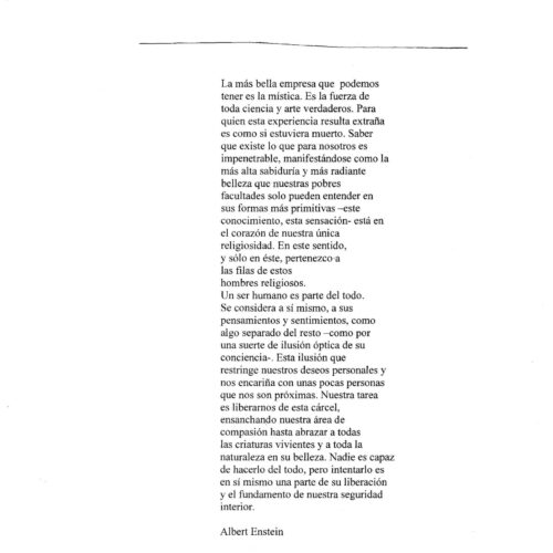 Einstein Mistico - Imagen 1