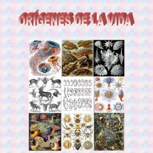 Flammarion,Origenes de la vida