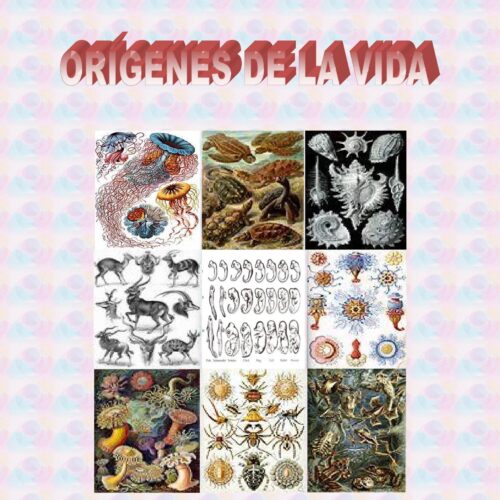 Flammarion,Origenes de la vida - Imagen 1
