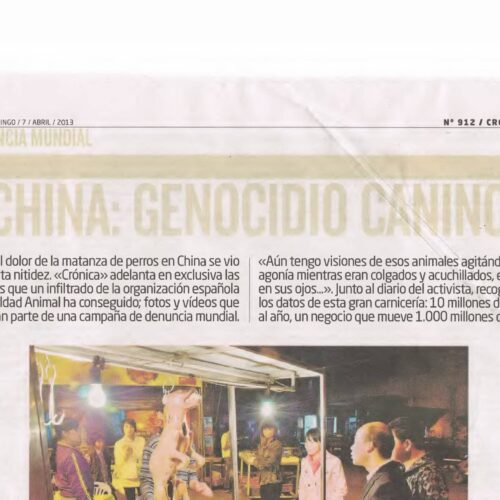Genocidio canino,Martin Mucha - Imagen 1