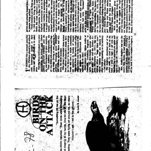 Humanoides Alados-4 - Imagen 1