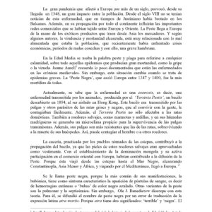 La Peste Negra,Ana Luisa Haindl U.