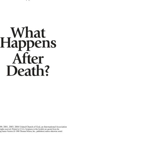 Ninja,What Happen After Death - Imagen 1