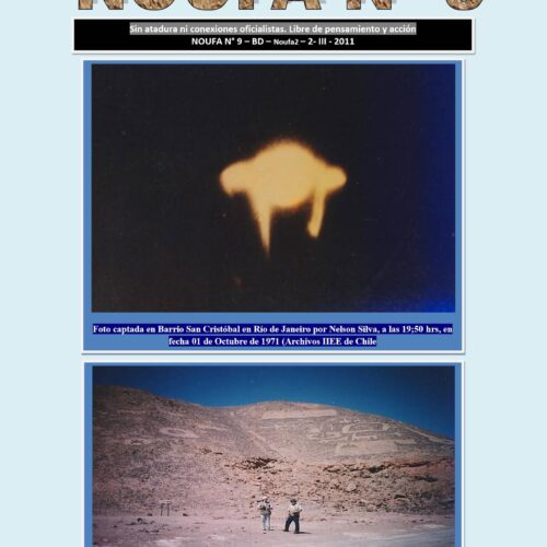 Piedras de Ica,un fraude - Imagen 1