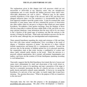 Plan and purpose of life in Theosophy