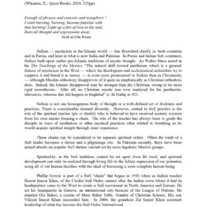 Practical Sufism,Philip Gowins