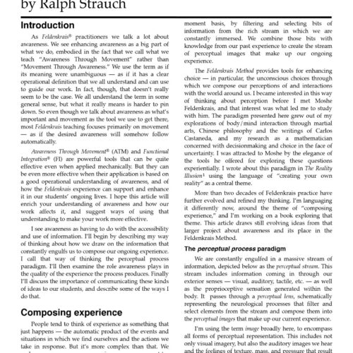 Strauch,Musings on awareness - Imagen 1