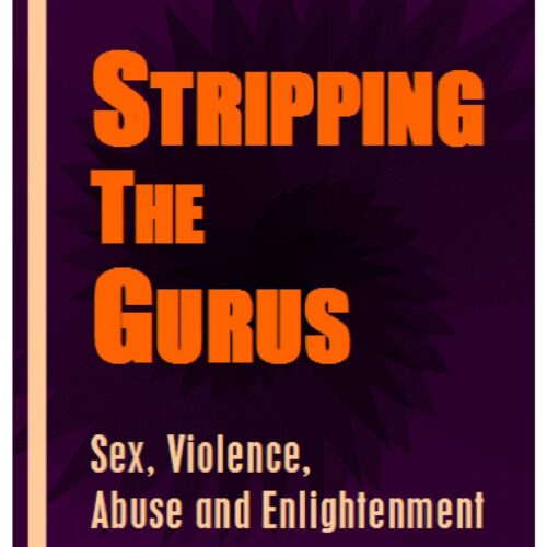 Stripping the Gurus. Sex and violence,G.D.Falk - Imagen 1