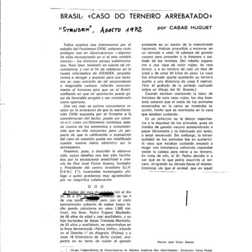 Ternero secuestrado en 1970,Brasil - Imagen 1