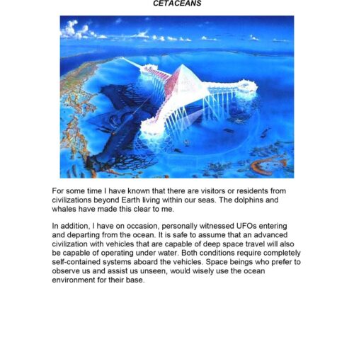 Underwater UFO Bases,Dolphins - Imagen 1