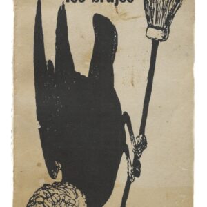 Libro "El fracaso de los brujos"